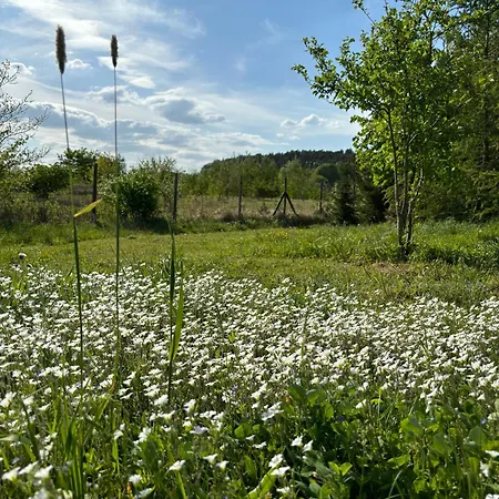Campsite Siedlisko Julitkowo