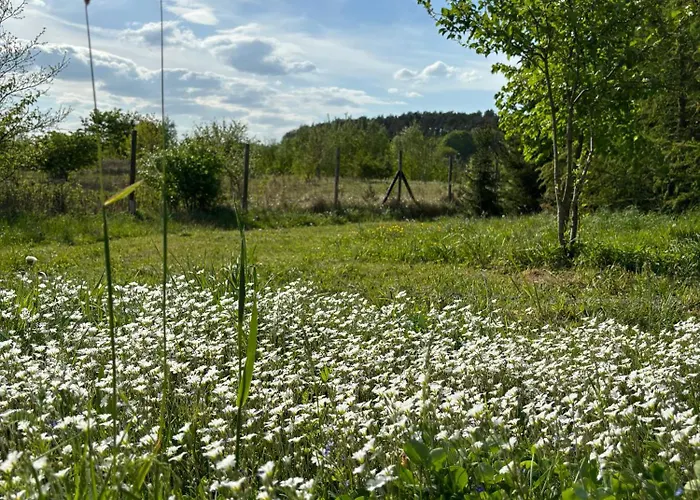 캠프장 Siedlisko Julitkowo